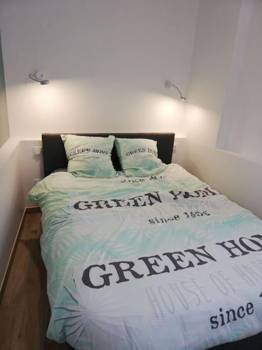 Bel Appartement Coeur De Grenoble Tout Equipe Εξωτερικό φωτογραφία