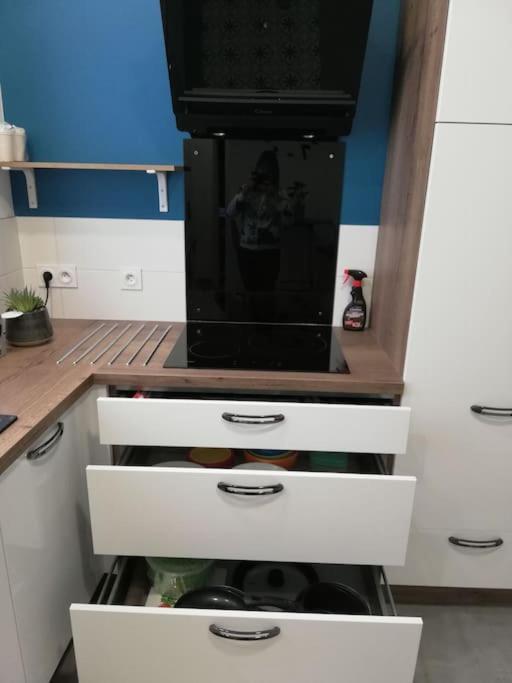 Bel Appartement Coeur De Grenoble Tout Equipe Εξωτερικό φωτογραφία